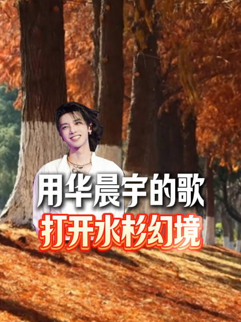 用华晨宇的歌打开水杉幻境