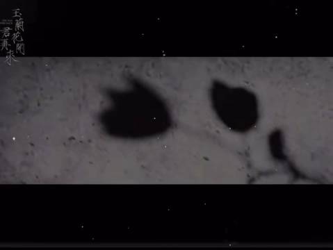 杨紫《玉兰花开君再来》定妆物料，动态更有feel了