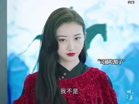 司藤秦放闹别扭颜福瑞遭殃