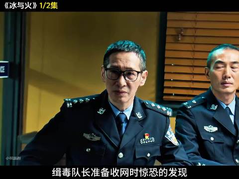 缉毒队长准备收网时，没想到手下却把卧底抓了回来