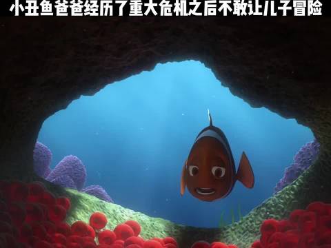小丑鱼爸爸经历了重大危机之后不敢让儿子冒险