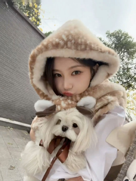 被这个李一桐和肉肉萌晕了