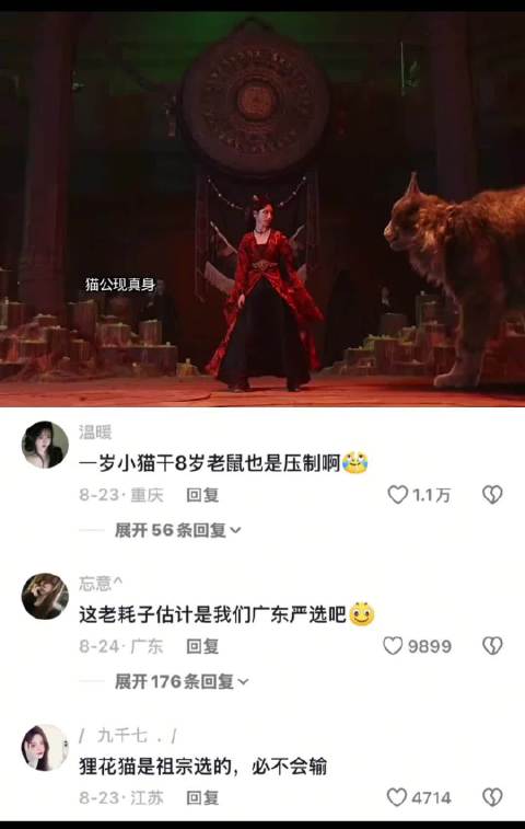 就这个猫公爽 子夜归 田曦薇