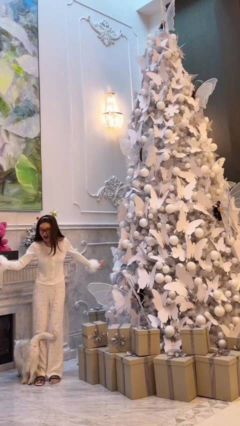 又到了圣诞保留节目，品鉴周扬青家的圣诞树