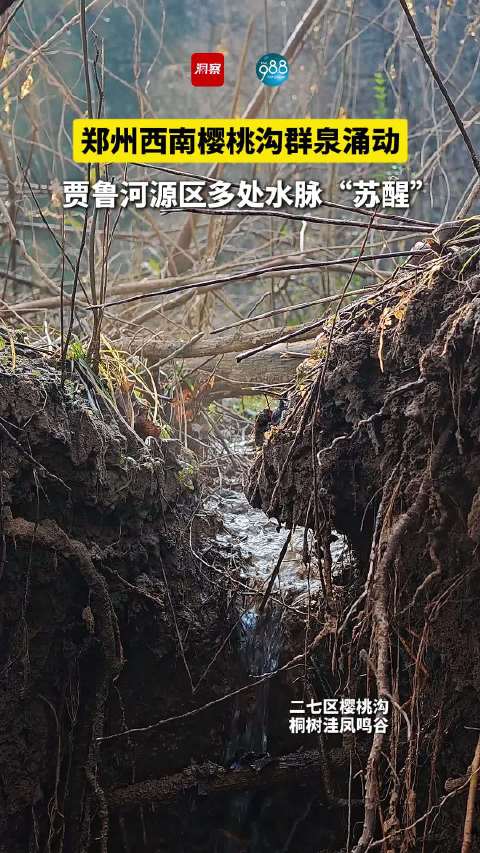 郑州西南樱桃沟群泉涌动 贾鲁河源区多处水脉“苏醒”