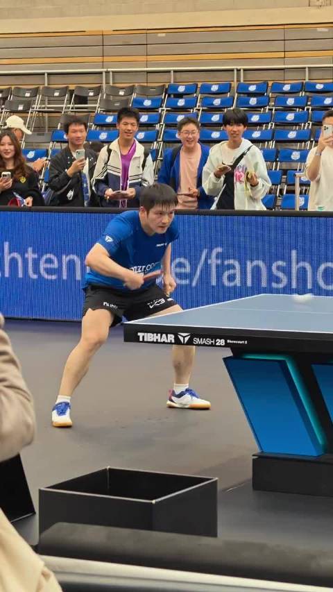 樊振东训练，后面一排举着手机的