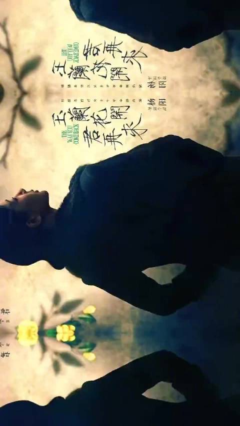 杨紫欧豪三搭首演电视剧《玉兰花开君再来》开机