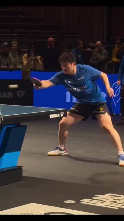 今天也是萌萌的熊猫樊振东