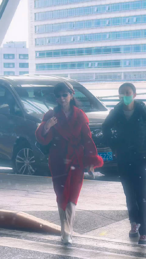 赵雅芝圣诞树星光下告白信箱引发粉丝心动