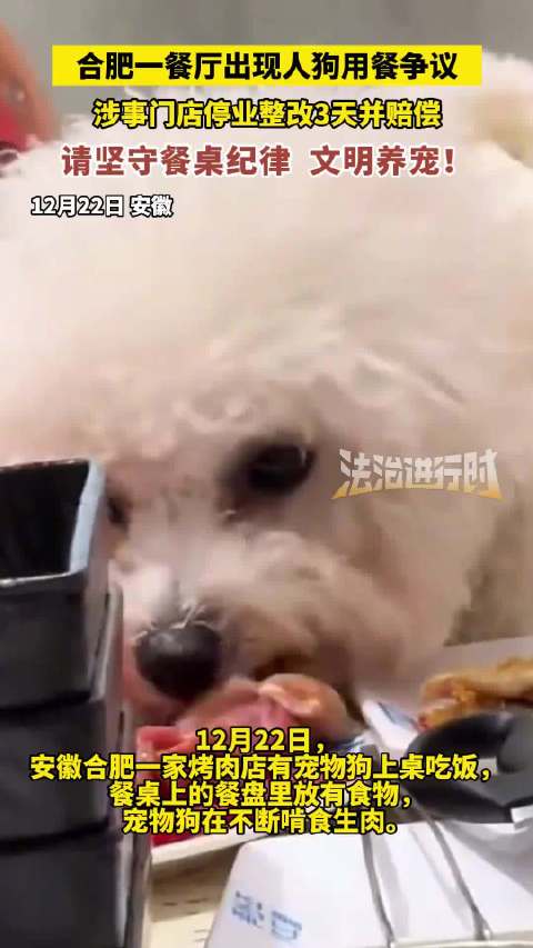 合肥一烤肉店狗上桌啃食生肉