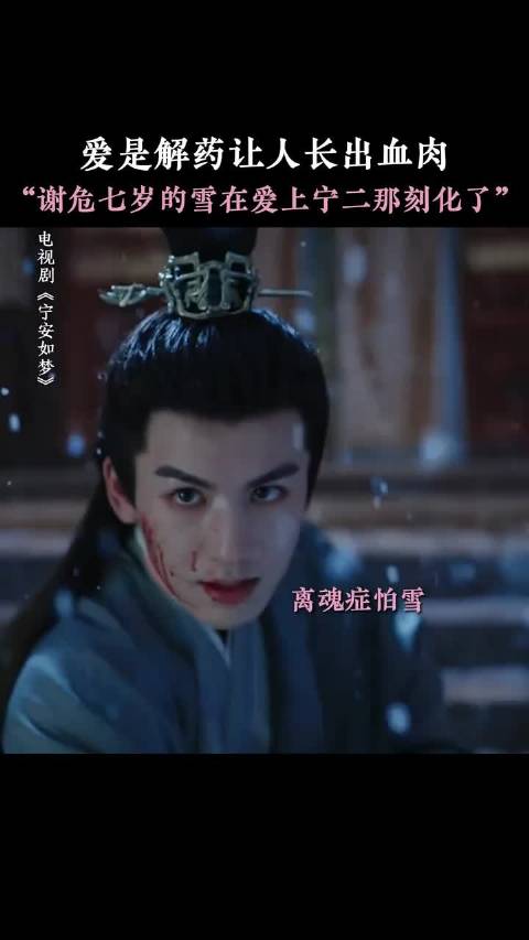 谢危七岁不化大雪因爱宁二消融