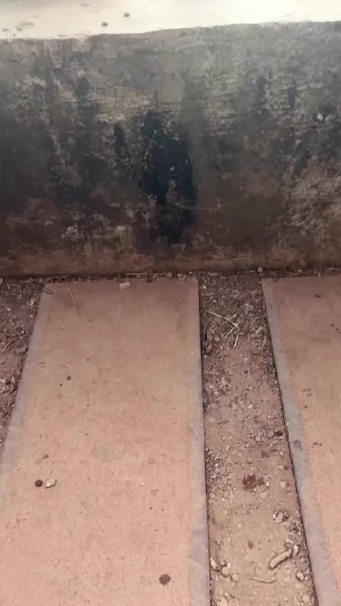 蔡徐坤发布新歌whataday并代言pubg全球