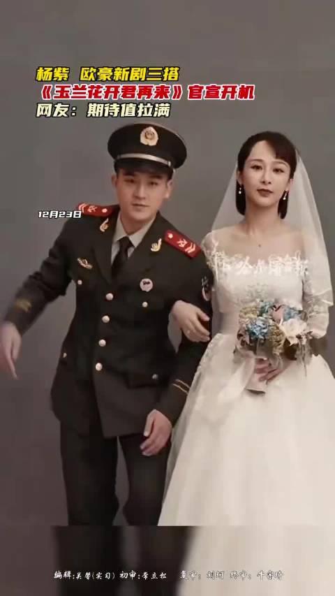 杨紫欧豪新剧开机