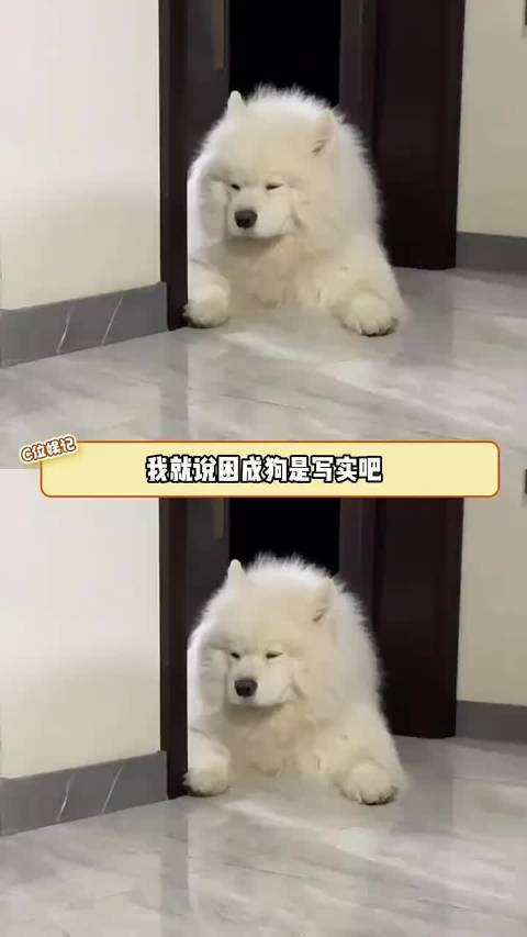 清晨阳光下的辛酸笑容，寻找心灵宁静