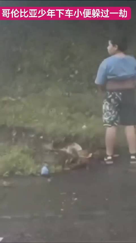 母亲拍小儿子路边小解视频后遇车祸