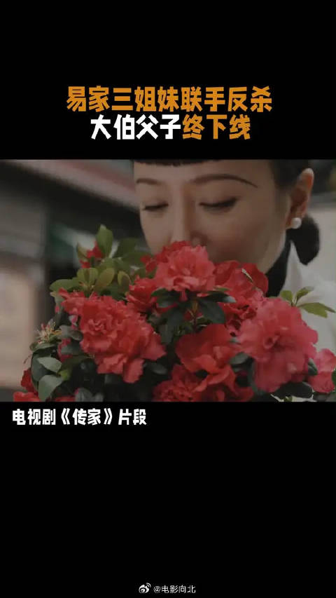 没一个好惹 易家三姐妹联手便是最佳！