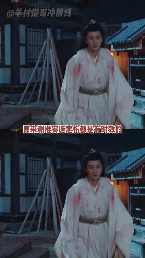 谢淮安连悲伤都有时效 强大到令人心疼～ ～ 成毅长安二十四计爽为上计