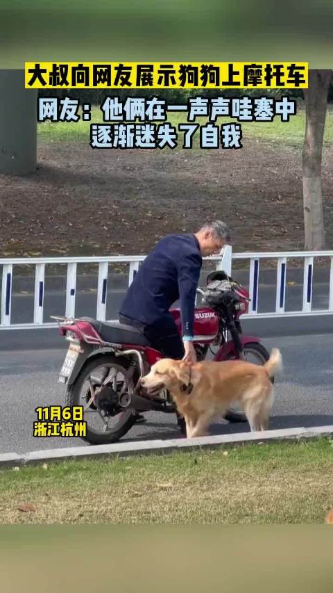 大叔向网友展示狗狗上摩托车，网友：他俩在一声声哇塞中逐渐迷失了自我