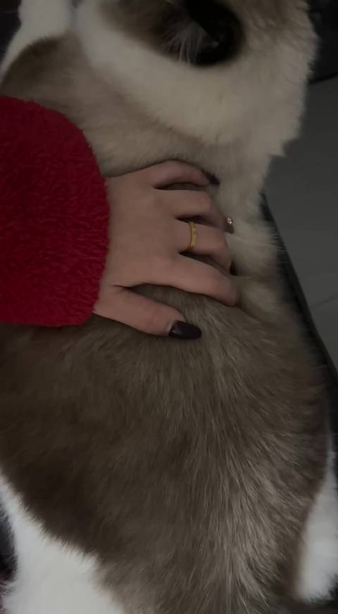 家里不许停卡车