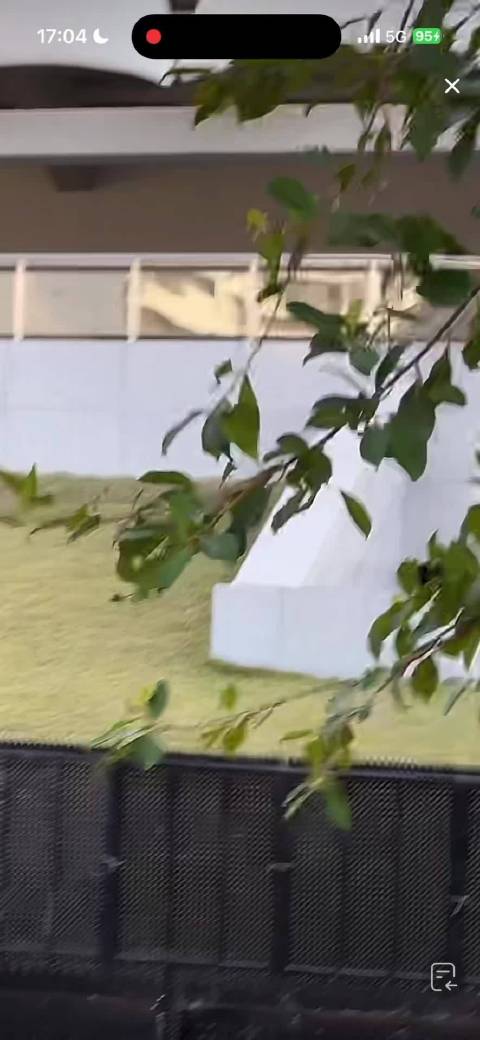 小杰吗 听起来很像 降噪