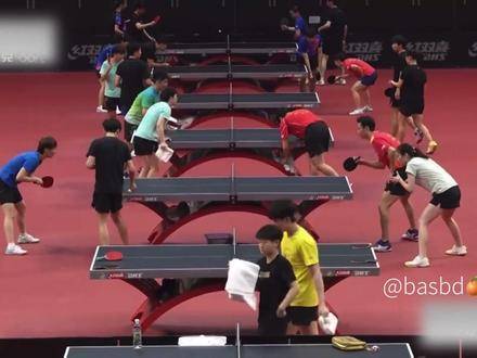 王楚钦孙颖莎刻苦训练备战赛事