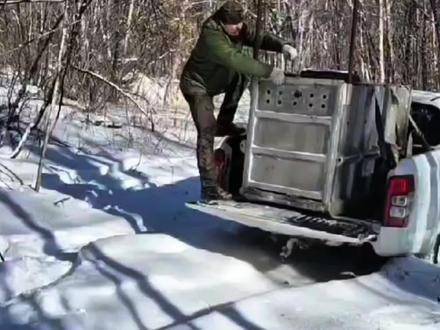 T115m重返山林称王，莫记狗肉之味