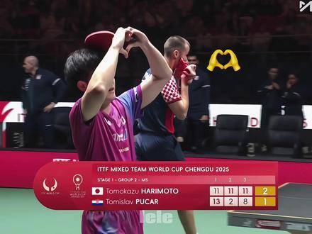 成都乒乓球混团世界杯