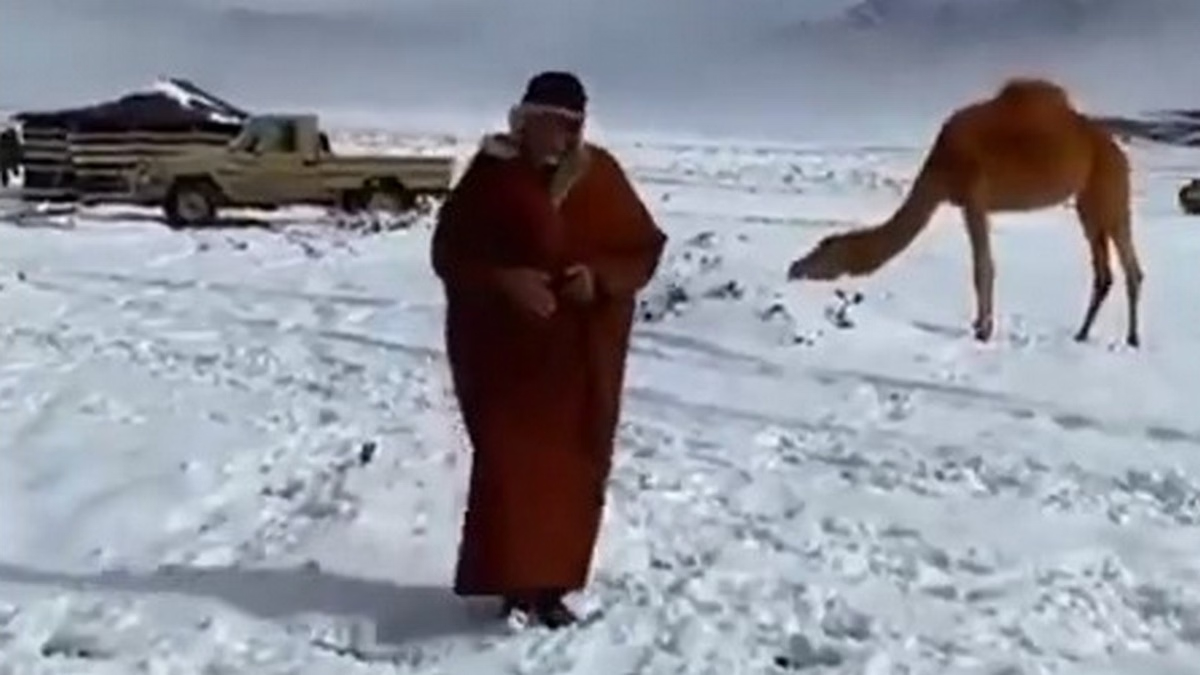 中东天气异常：沙特北部30年来首次降雪，伊朗南部大旱后洪水致4万人受灾