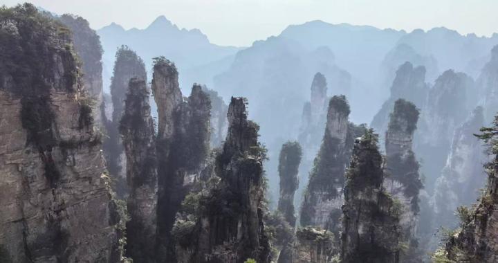 跟着经典影视剧打卡张家界国家森林公园