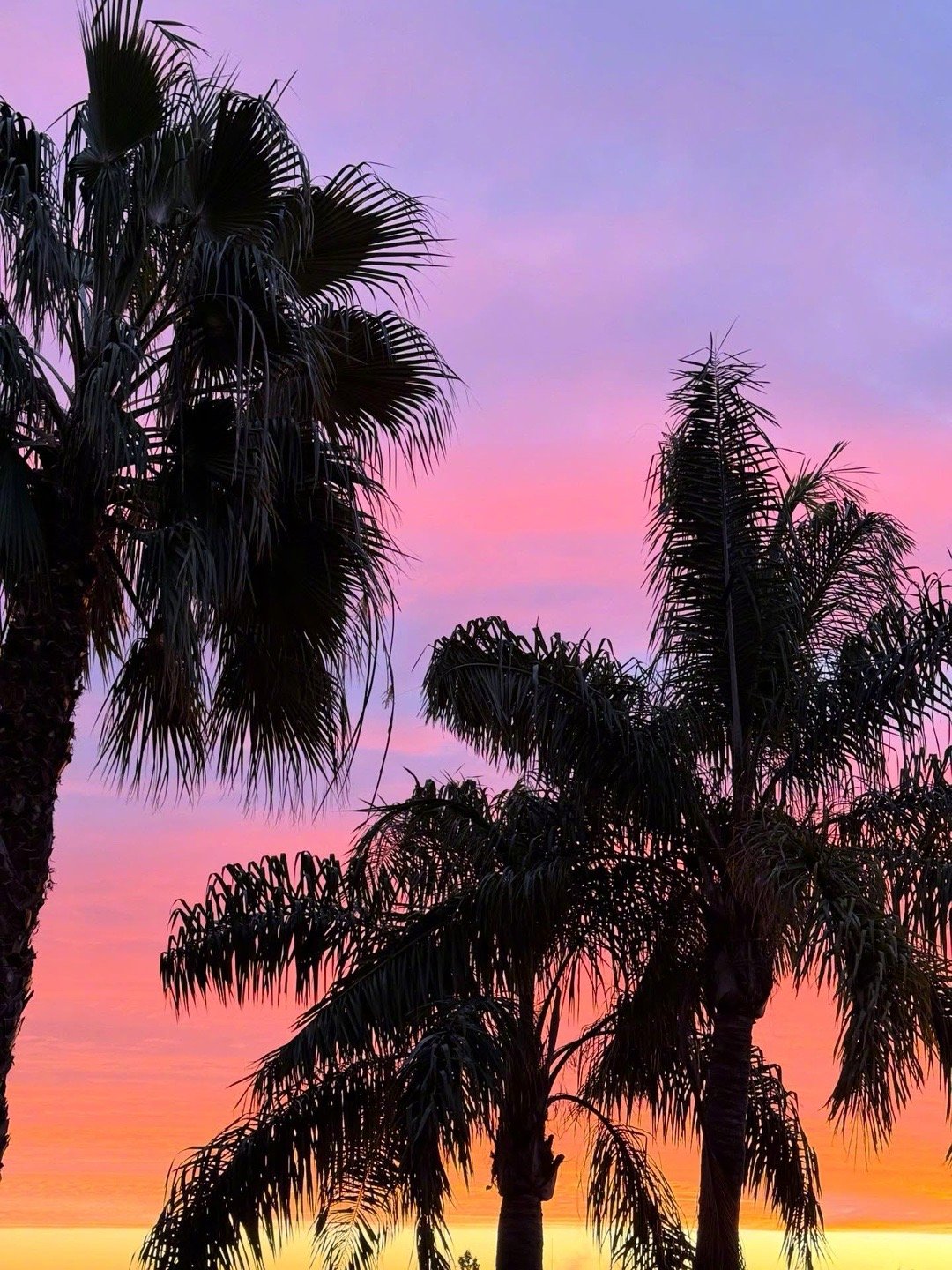 德容一家巴塞罗那落日共度幸福时光