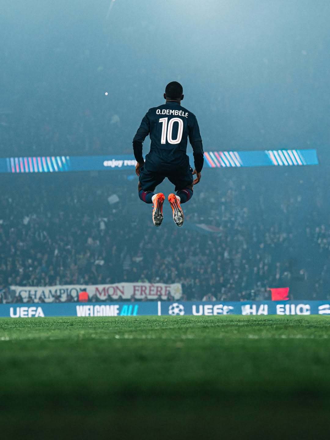 2025：有趣瞬间大赏 ️