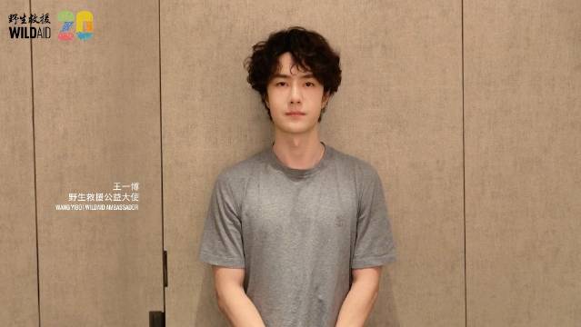 新鲜的王一博！wildaid野生救援公益大使