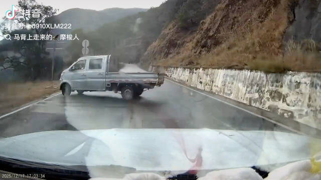 小货车刹车失灵翻落山坡，两棵树挡住车辆救下车主