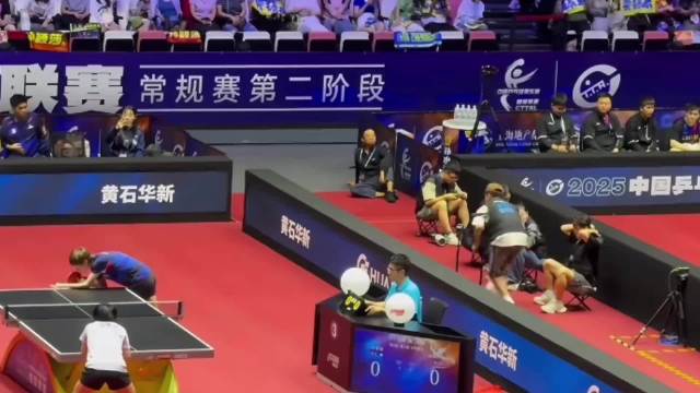 樊振东全程关注王曼昱蒯曼对决