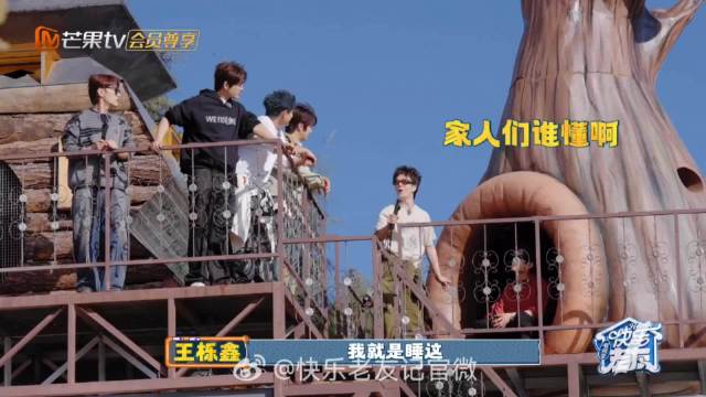 王栎鑫入住巨型树屋，童话世界治愈人心