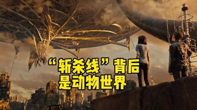 “斩杀线”背后，是动物世界