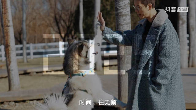 期待明日专访，又是一次深度采访