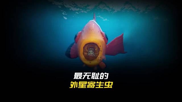 外星寄生虫断鱼舌夺位嗜血，被称最恶心寄生虫