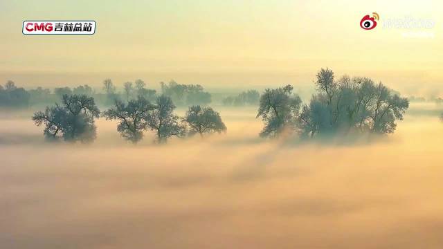 吉林松花江畔雾凇与光束同框如仙境