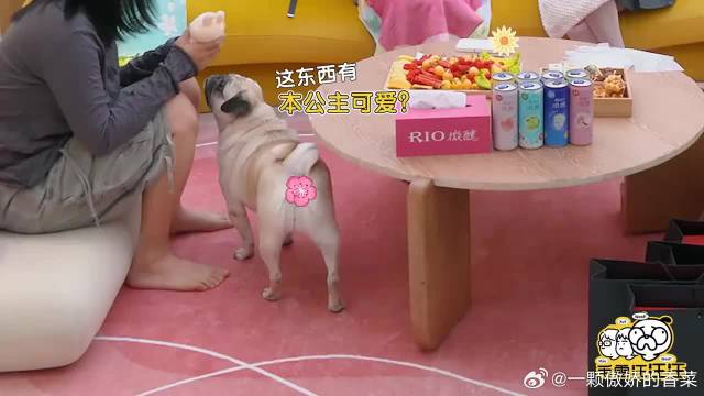 陈妍希看到吴京儿子学武术，把自己儿子也送去，满满母爱