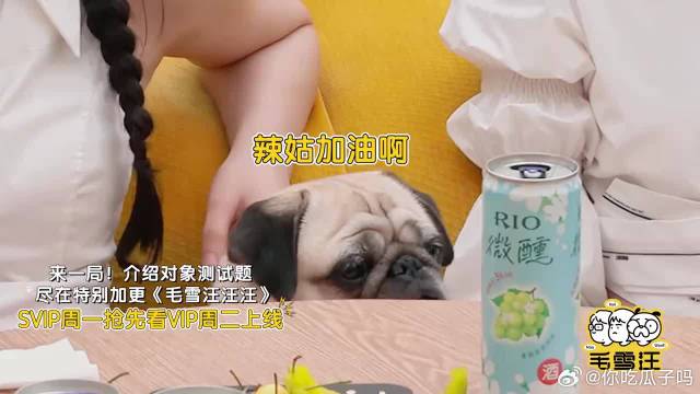 还是亲闺蜜敢说，颖儿爆料陈妍希生日会，李雪琴都惊呆！