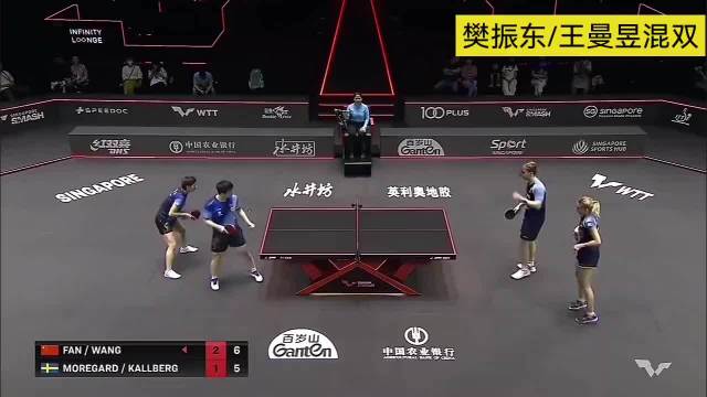精彩赛事回顾：王曼昱/樊振东VS卡尔伯格/莫雷加德！乒乓球