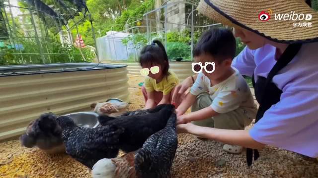 2025群星瞬间：骑行播种舞动体验生活