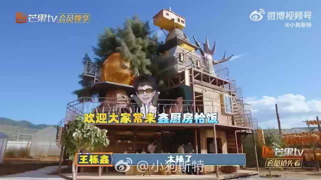 王铮亮《快乐老友记》礼花筒节奏失误引欢笑