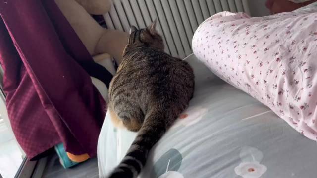 此时此刻一辆货车伸出了它的脚蹬子