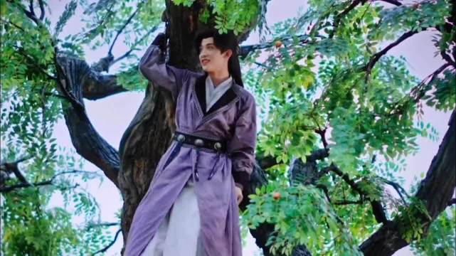 常华森称小狗与六道堂相处会开朗健康