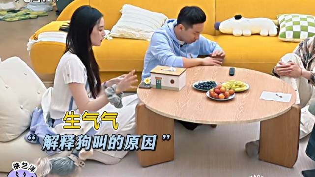 徐艺洋家的狗，比和平使者还爱和平，见不得一点吵架！ 毛雪汪