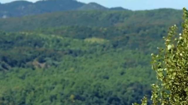 张智霖陈小春加盟综艺快乐老友记