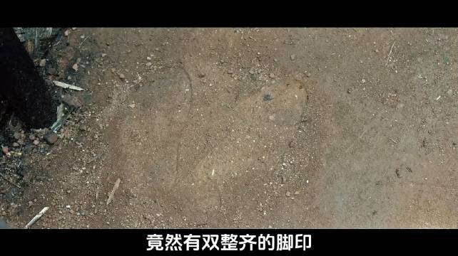 郑朝阳和白领假扮夫妻成功抓捕特务老黄，可没想到老黄却服毒自尽了！