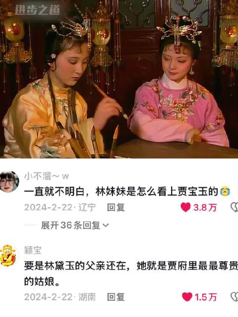 宝黛真的都是很有才学的女子 林黛玉｜贾宝玉｜红楼梦